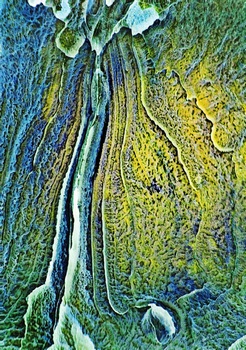A 11A